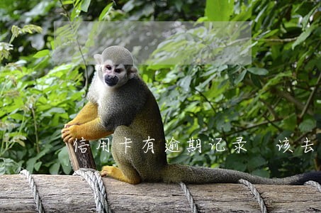 信用卡有逾期记录 该去找谁 信用卡有逾期记录 该去找谁